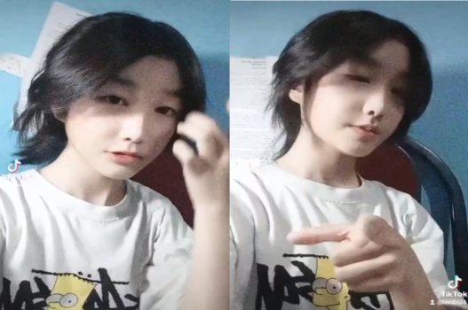 Điều chuyên dùng em trẻ bị bạn lừa, cáo bướm cũng theo đó